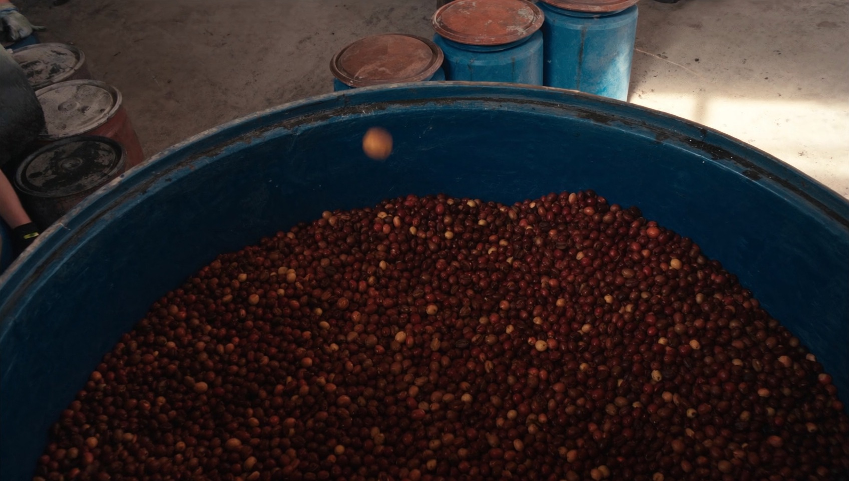 Mosto Natural精製の様子