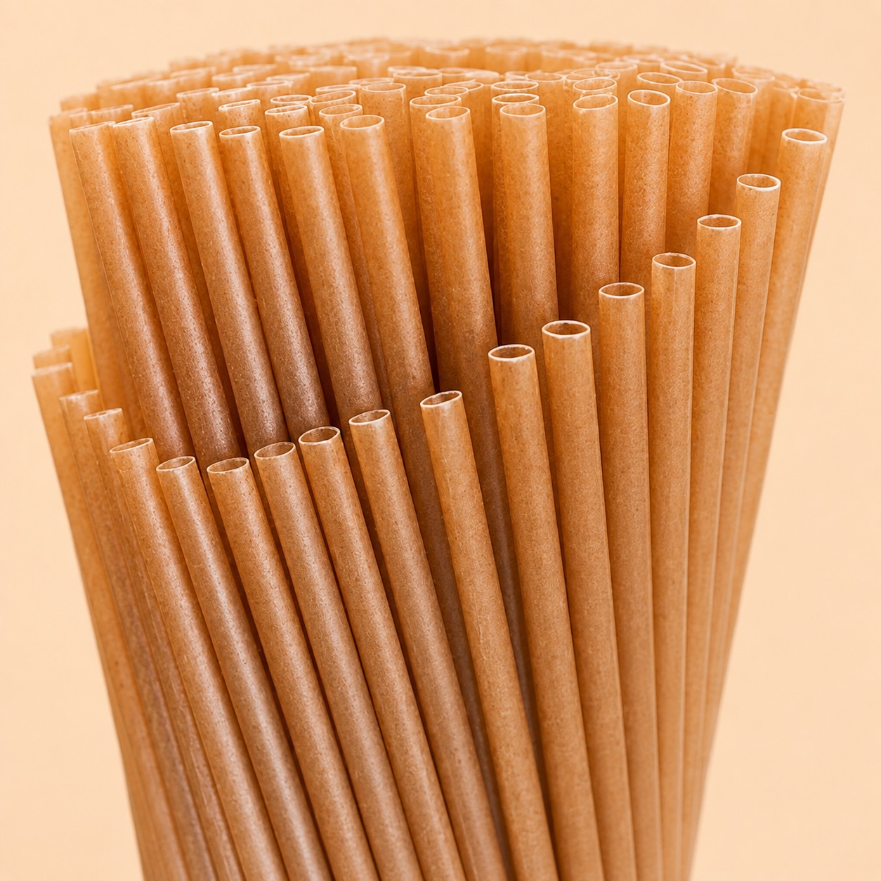 製糖後のバガスを原料にしたサトウキビストロー